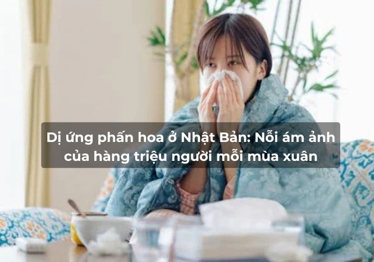 Dị ứng phấn hoa ở Nhật Bản: Nỗi ám ảnh của hàng triệu người mỗi mùa xuân