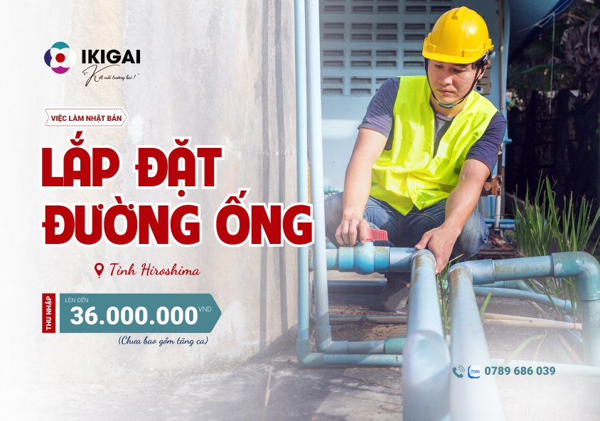 Đặt đường ống
