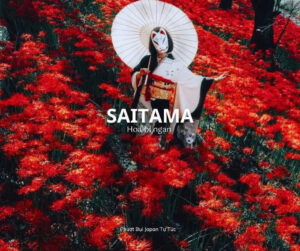 Saitama - Hoa Bỉ Ngạn ( Nguồn: Phượt Bụi Japan Tự Túc )