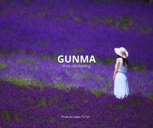 Gunma - Hoa Oải Hương ( Nguồn: Phượt Bụi Japan Tự Túc )