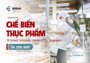 Chế biến thực phẩm - Ehime, Kagawa, Yamaguchi, Okayama