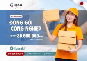 Đóng gói công nghiệp - Ibaraki - PV: 08/2025