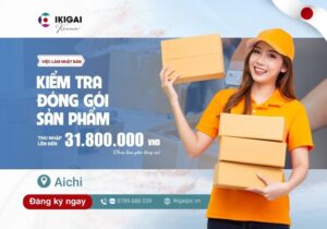 Kiểm tra, đóng gói sản phẩm - Aichi - PV: 10/08/2025