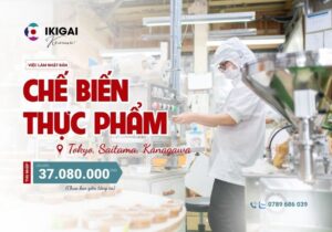 Chế biến thực phẩm - Tokyo, Saitama, Kanagawa - PV: 26/09/2025