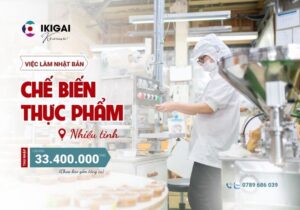 Chế biến thực phẩm - Nhiều Tỉnh - PV: 13-15/11/2025
