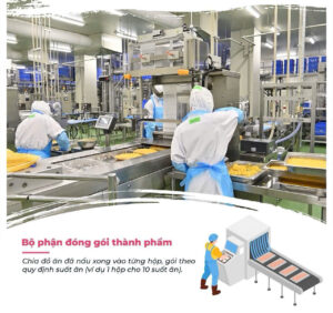 Chế biến thực phẩm y tế - Ibaraki, Chiba - PV: 22/10/2025