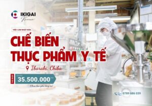 Chế biến thực phẩm y tế - Ibaraki, Chiba - PV: 22/10/2025