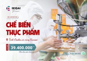 Chế biến thực phẩm - Osaka & vùng Kansai - PV: 15/11/2025