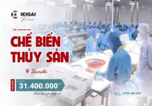 Chế biến thủy sản - Ibarki - PV: 16/01/2026