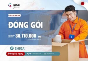Đóng gói - Shiga - PV: 24 - 25/12/2025