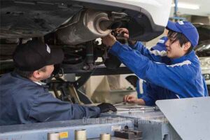 Hình ảnh minh họa công việc