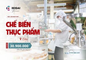 Chế biến thực phẩm - Oita - PV: 12/2025