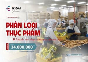 Phân loại thực phẩm ( 1 năm ) - Nhiều tỉnh
