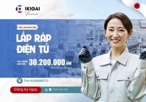 Lắp ráp điện tử - Kumamoto - PV: 11/03/2026