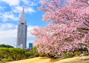 Vườn quốc gia Shinjuku Gyoen