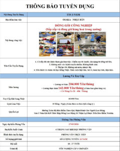 Đóng gói công nghiệp - Osaka - PV: 17/03/2026