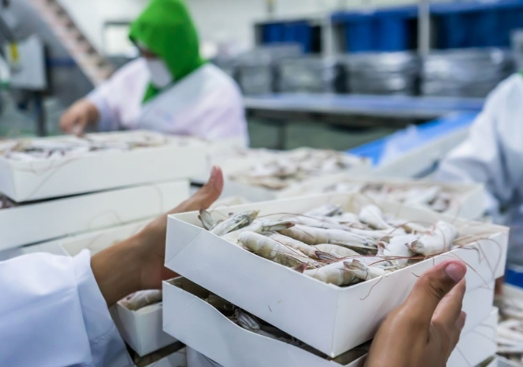 chế biến thủy sản gia nhiệt