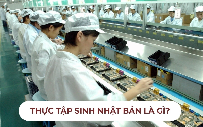 Thực tập sinh Nhật Bản