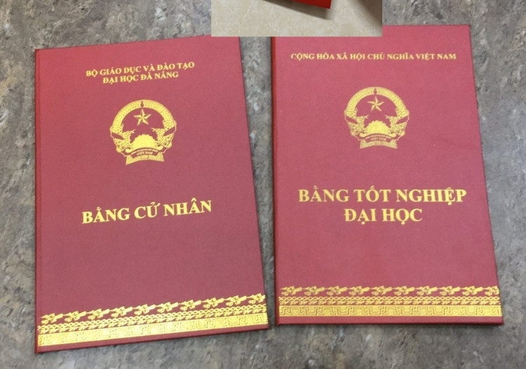Có bằng Đại học/Cao đẳng nên đi Nhật theo diện gì?