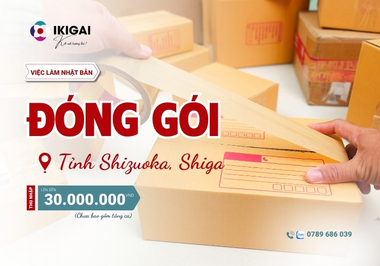 đóng gói