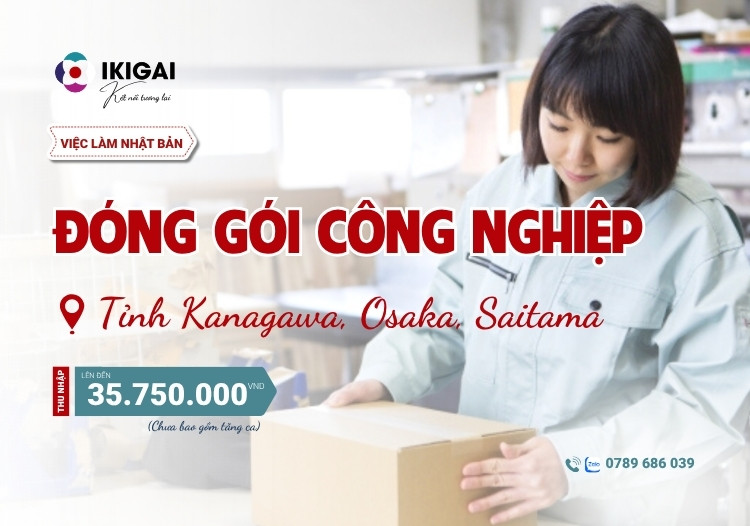 đóng gói công nghiệp