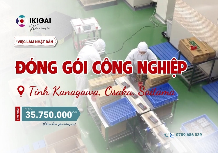 đóng gói công nghiệp