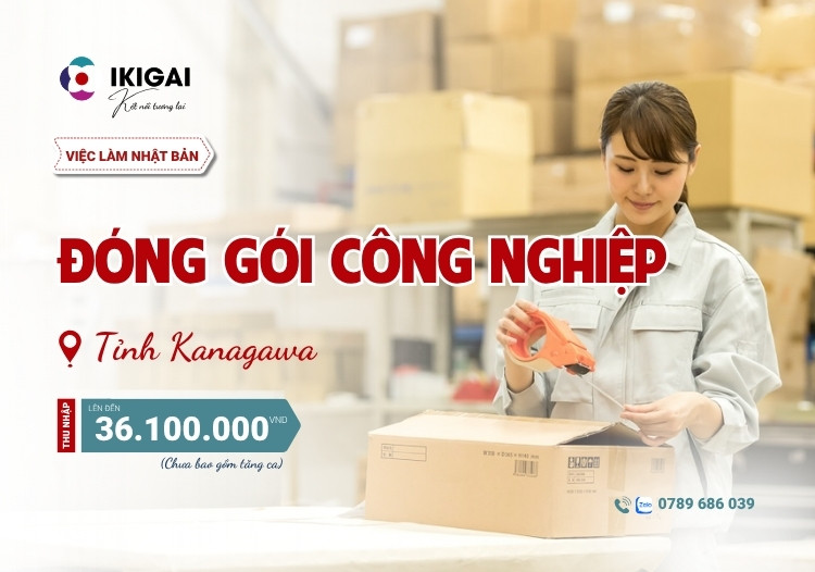 đóng gói hàng công nghiệp