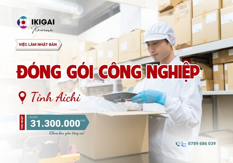 đóng gói công nghiệp
