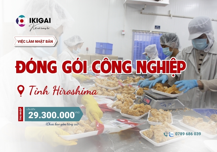đóng gói công nghiệp