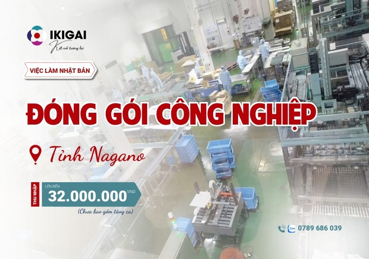 đóng gói công nghiệp
