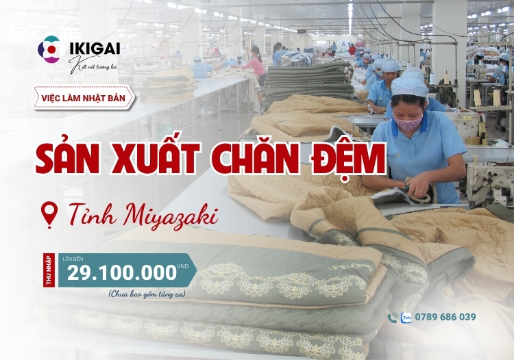 sản xuất chăn đệm