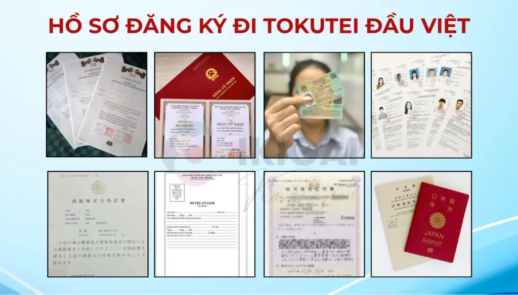 Tokutei đầu Việt