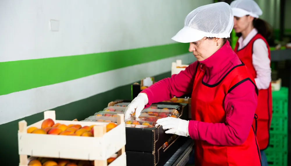 Xuất khẩu lao động Nhật Bản lương bao nhiêu