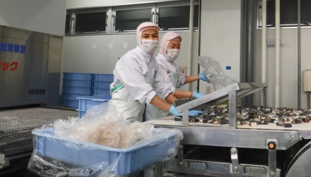 đơn hàng chế biến thực phẩm đi Nhật