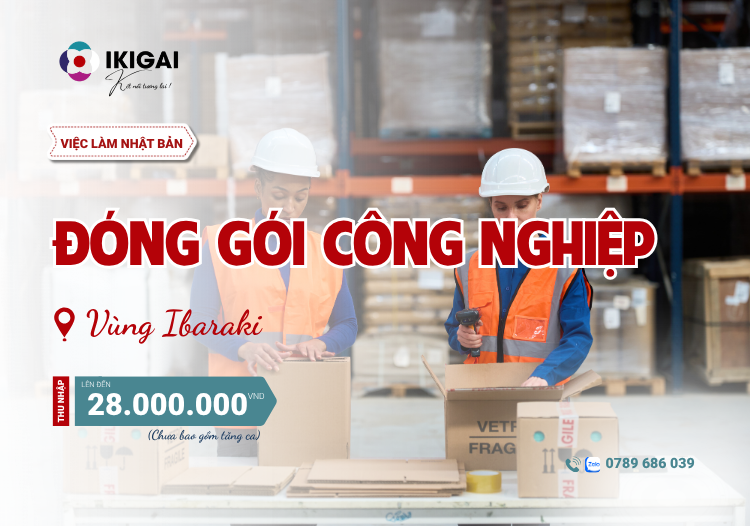 đóng gói công nghiệp