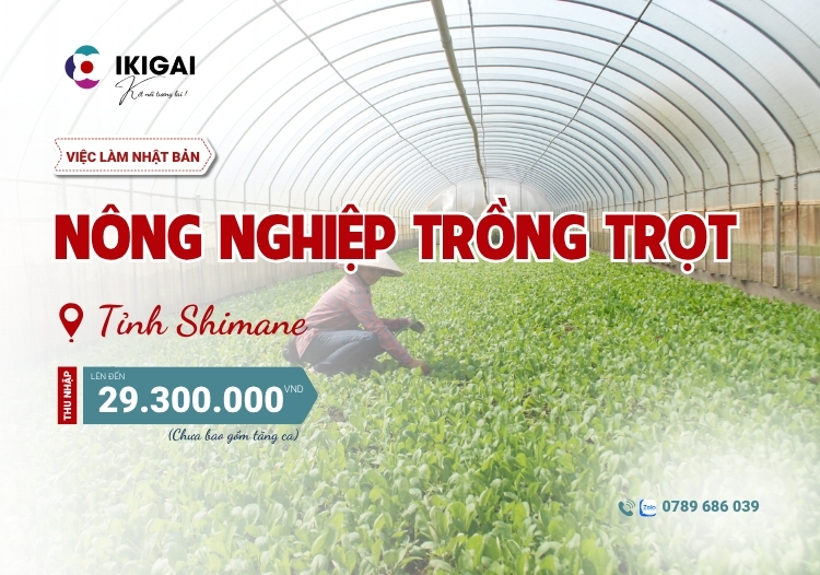 nông nghiệp trồng trọt
