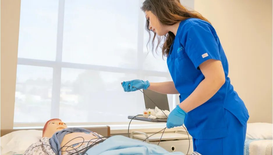 Du học Nhật Bản có những ngành gì